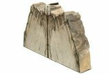 Tall Petrified Wood Bookends #233277-2